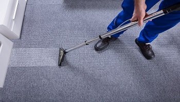 Carpet Cleaning Newcomb