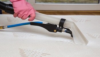 Carpet Cleaning Newcomb