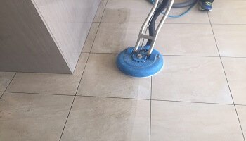 Carpet Cleaning Newcomb